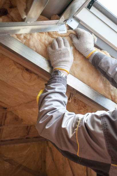 Best Blown-in Insulation in Malone, FL